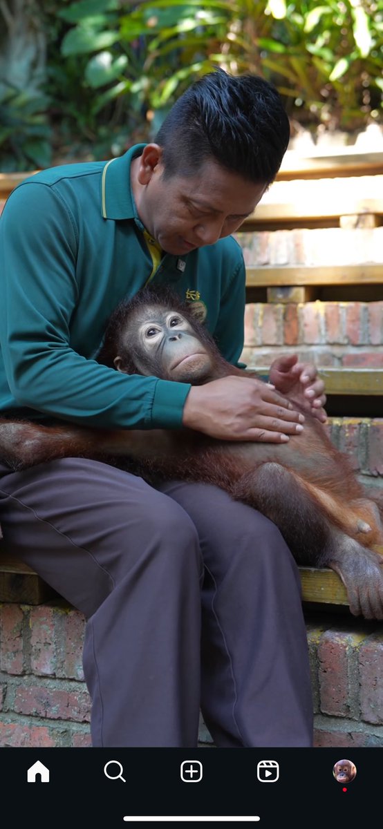 SCRATCH MY BELLAYYYY