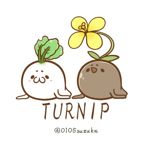 🥕やさい人🌽 (@0105suzuka) / Posts / X