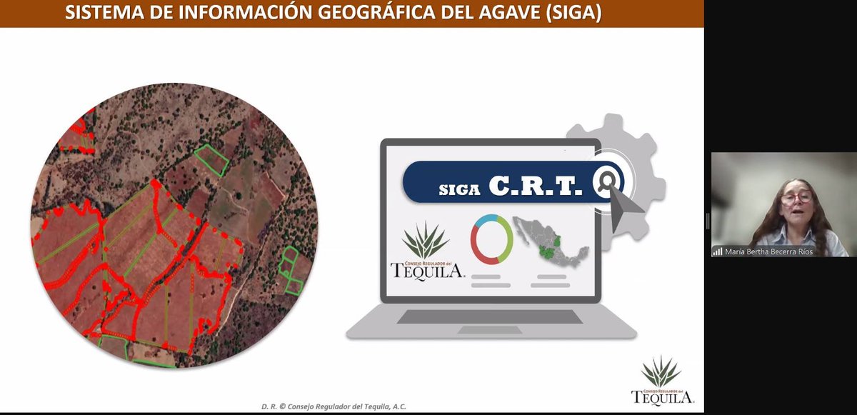 IPIDEC's tweet image. Hoy tuvimos el privilegio de contar con la presencia de María Bertha Becerra Ríos, del Consejo Regulador del Tequila (CRT), en nuestro Diplomado en Gestión de Denominaciones de Origen y Protección del Patrimonio Cultural Inmaterial.

¡Gracias Mtra. Becerra!