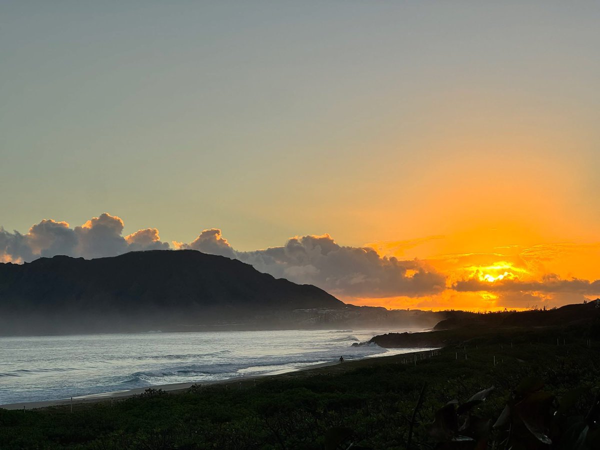 TimAllen1964's tweet image. 