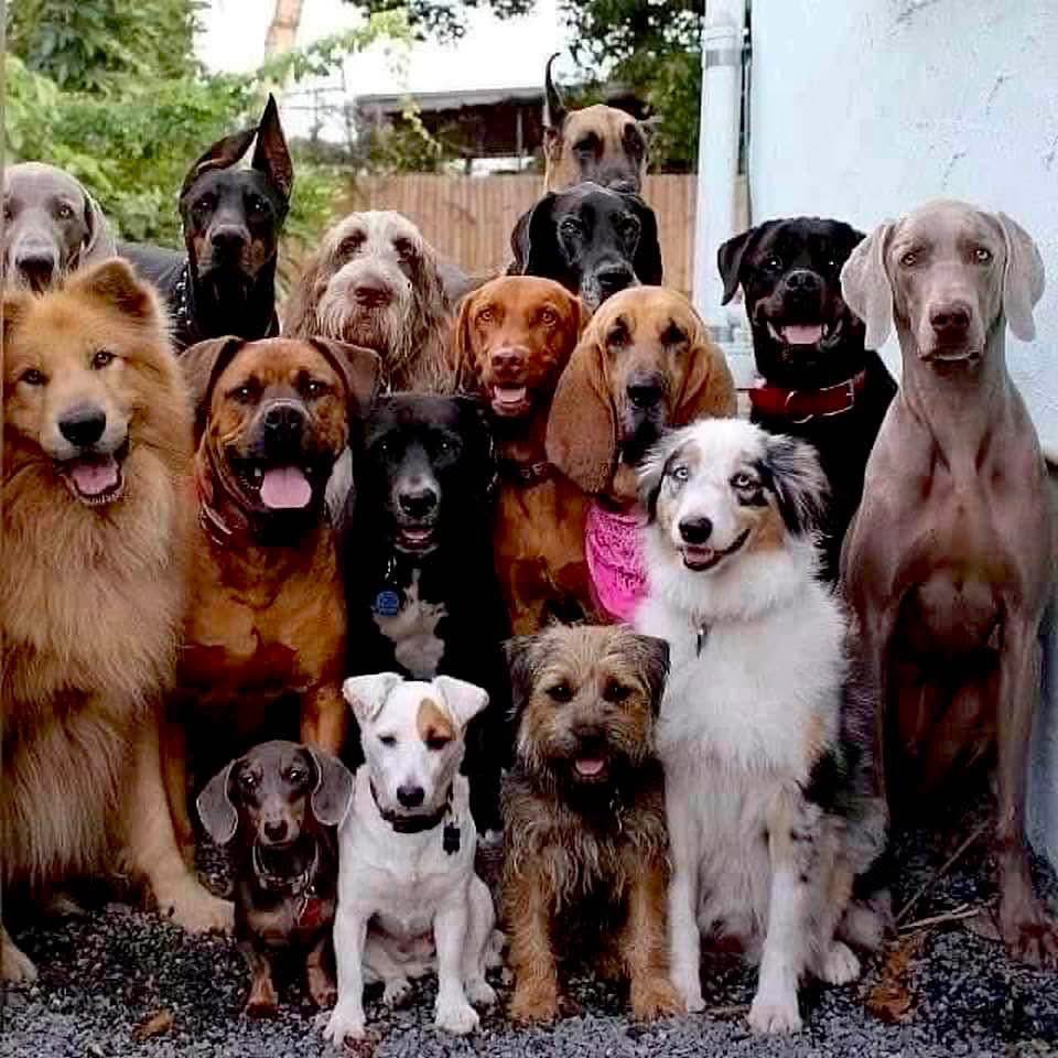 TimAllen1964's tweet image. 