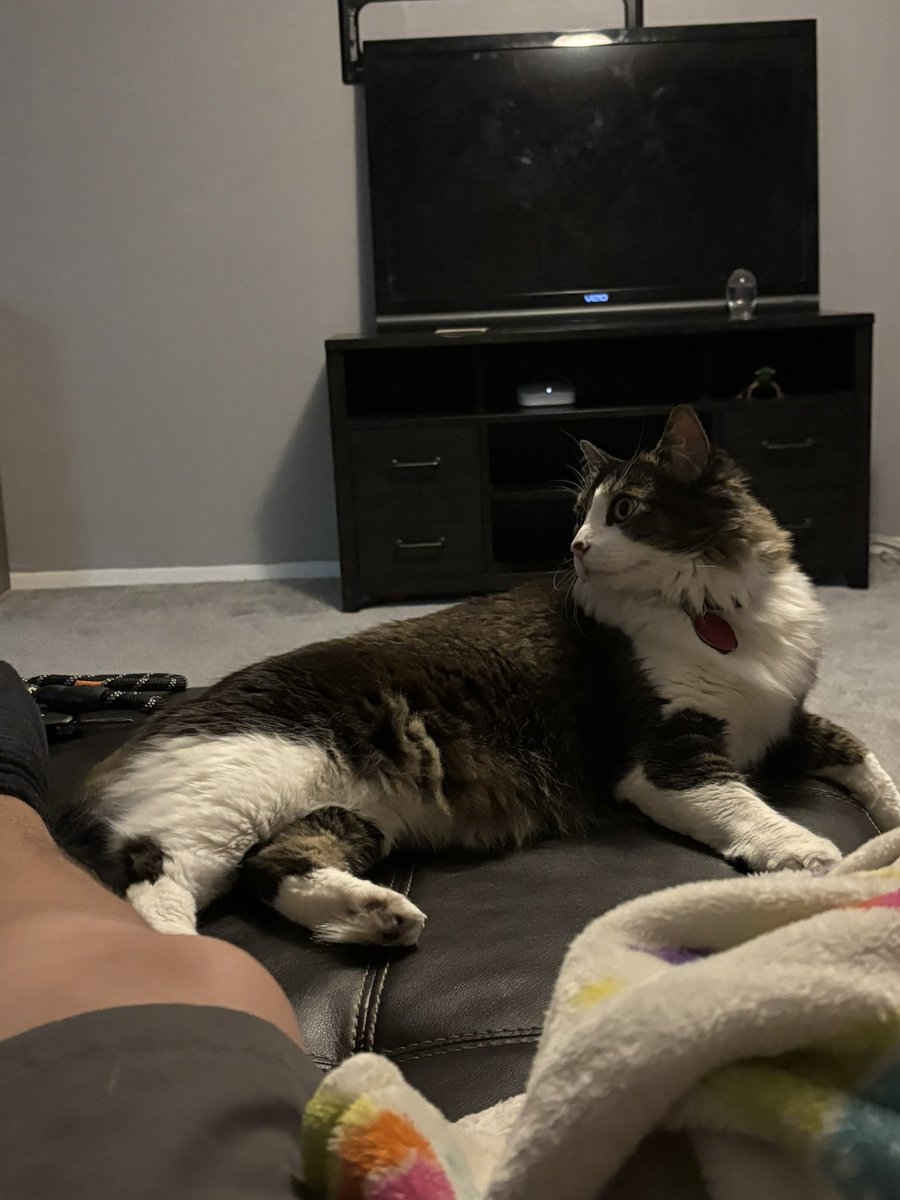 Last night I had to say goodbye to one of my babies, Mr. Mia who was always there for me whenever I needed him and I was always there for them. I love and miss you. I hope you are getting plenty of lunch meat and chicken up there…
2018-2025