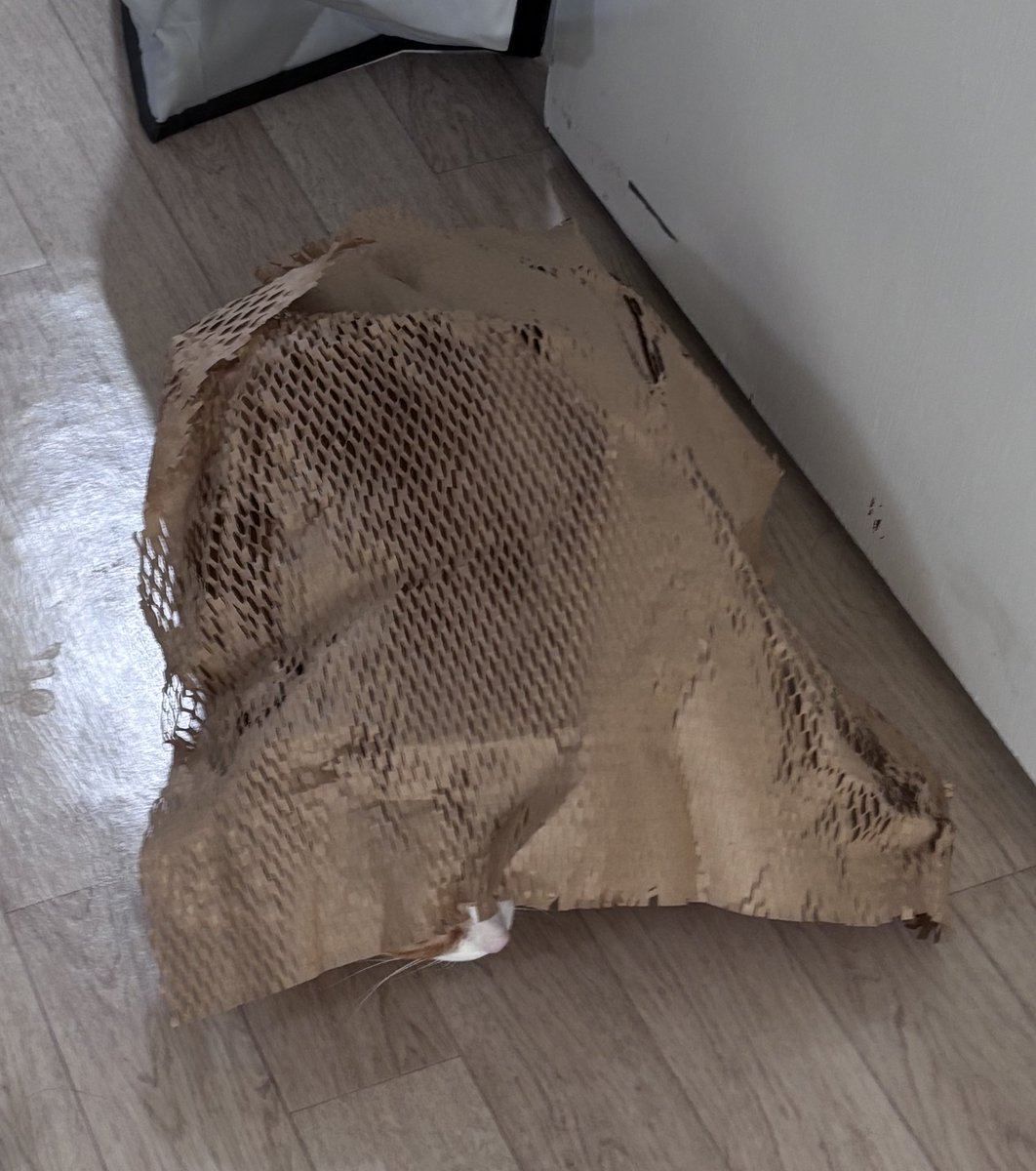 김민국 (@minkookcheese) on Twitter photo 