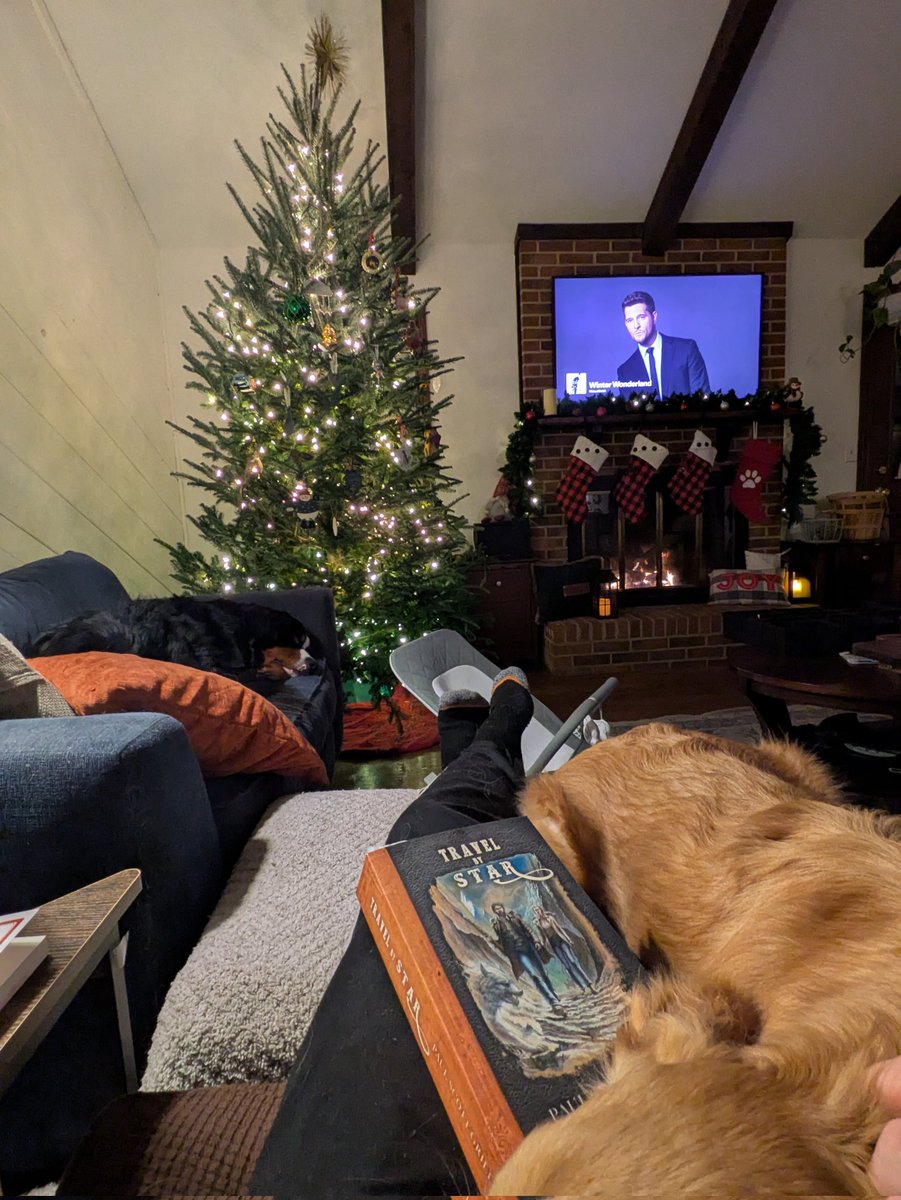 Christmas decor is up, fire is on, puppies are snug, and I've got a good book by <a href="/plainrunner2/">Plain Runner</a> to read. It's a good night