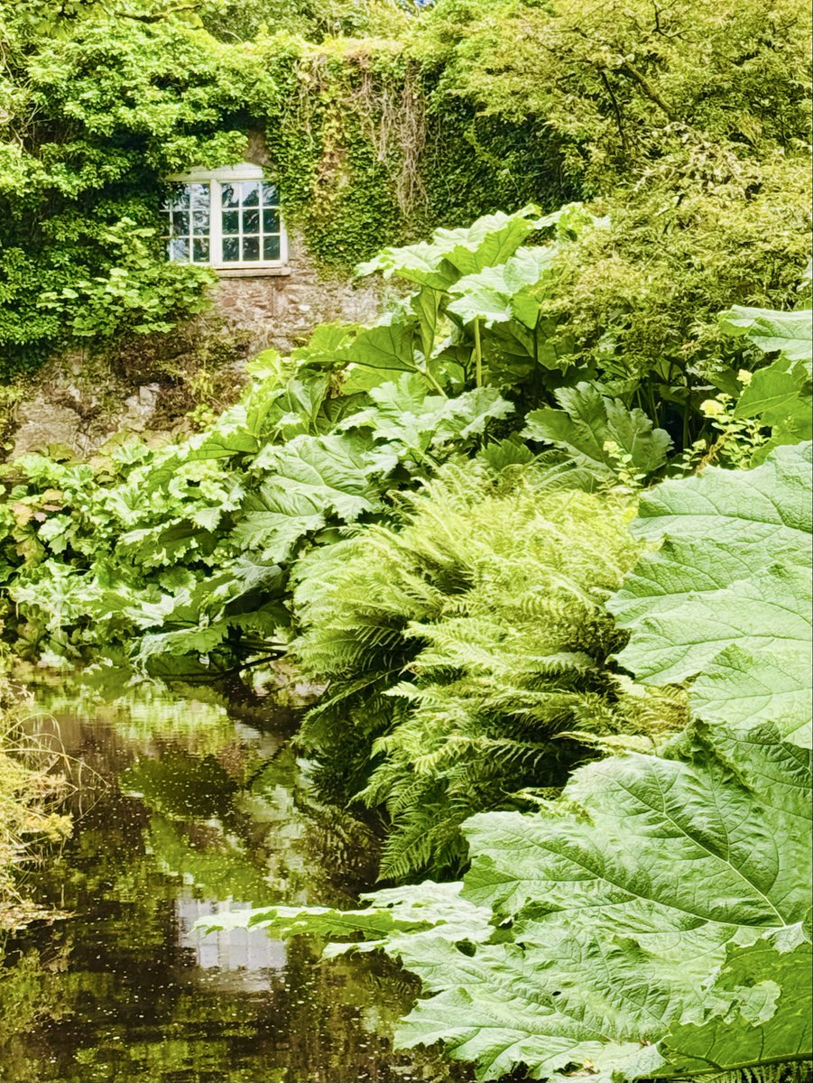 AttersonBarbara's tweet image. #AlphabetChallenge #WeekWforWindows 

               It’s not a window.
            It’s an escape hatch.