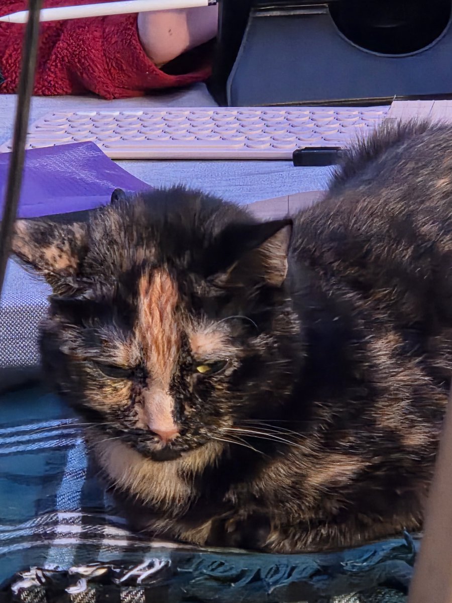 It's time to fight a Dragon. Session#18 
Twitch.tv/Rollof3s
#Dragon #dnd5e #soup #please