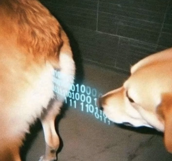 UI_Nya (@cantvvink) on Twitter photo 