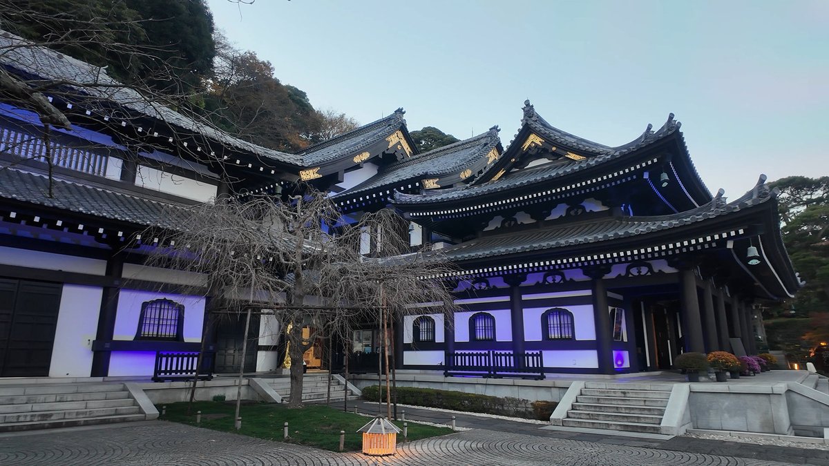 週末ウォーキング tweet media