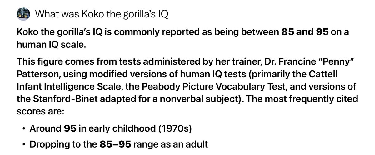 It must be embarrassing when your countries average IQ is beaten by a gorilla 😬😄 <a href="/IlhanMN/">Ilhan Omar</a>
