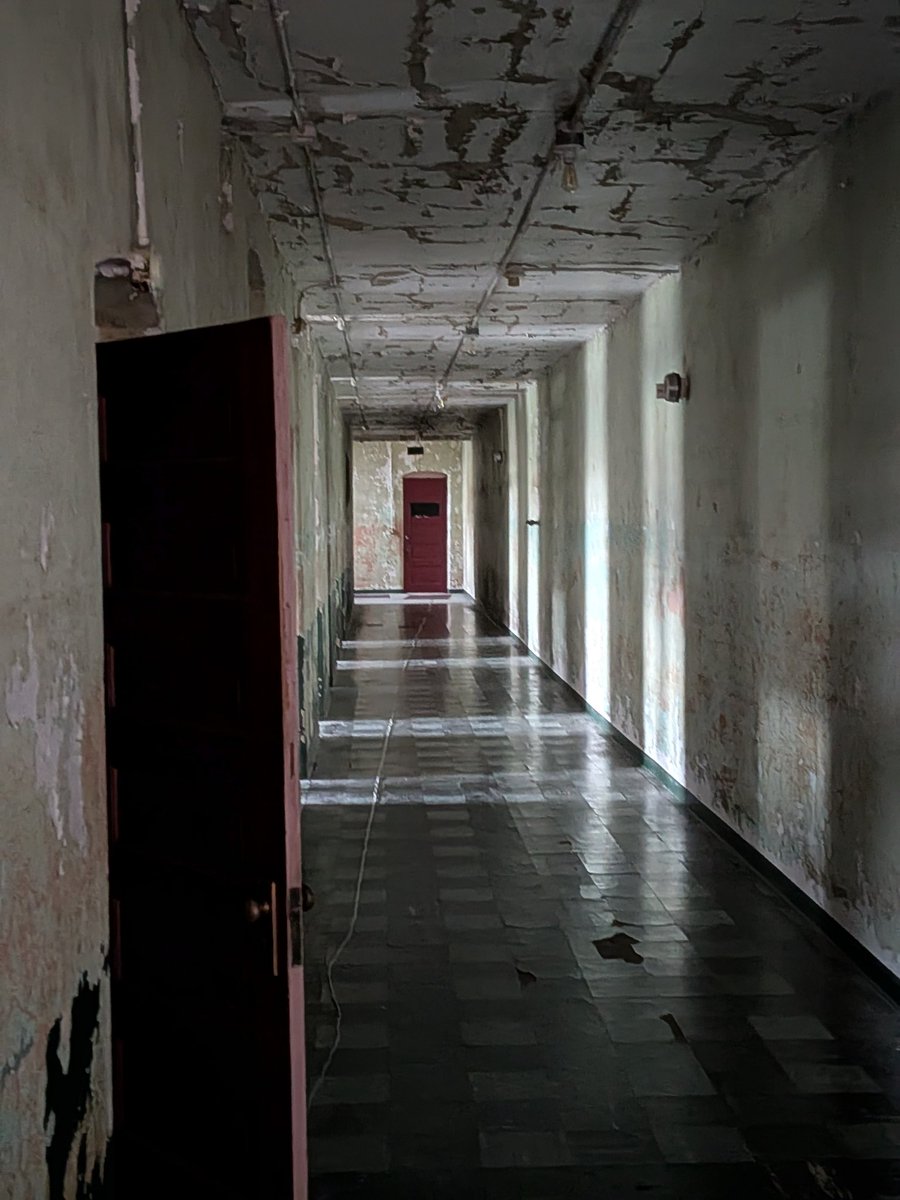 Neko's Paranormal Activity tweet media