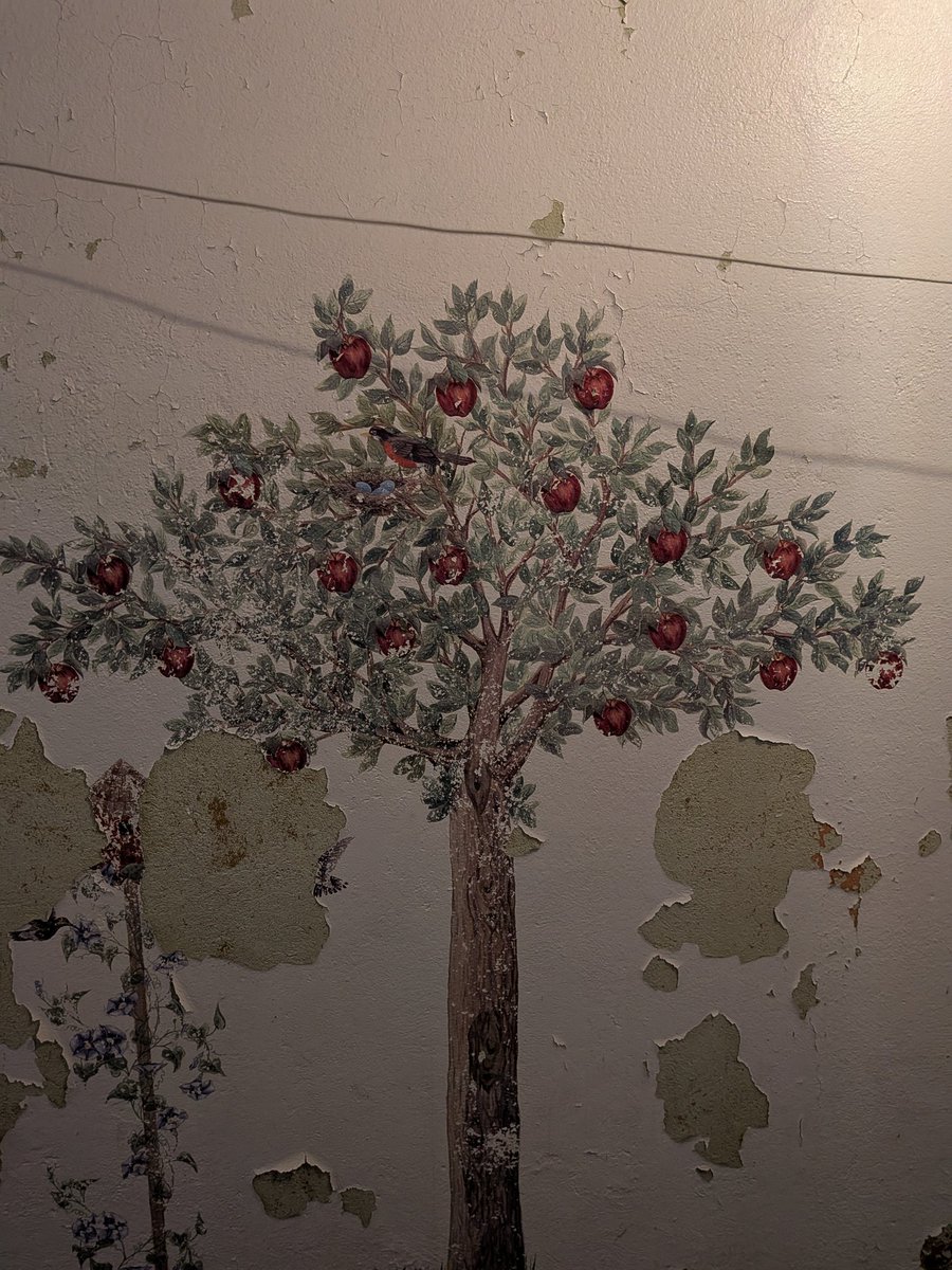 Neko's Paranormal Activity tweet media