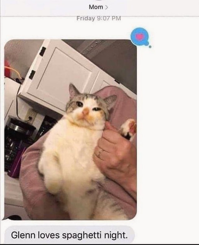 PunchingCat's tweet image. 