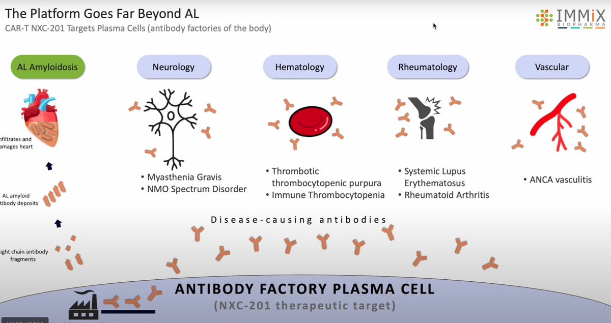 bizarro13620's tweet image. 🚨 $IMMX just dropped a new slide, not in Corp deck

NXC-201 now framed as a plasma cell–targeting platform for autoimmune: lupus, MG, RA, more.

#ASH25 still about AL, but the pivot is clear.

Low IL-6
Outpatient CAR-T
Huge potential
