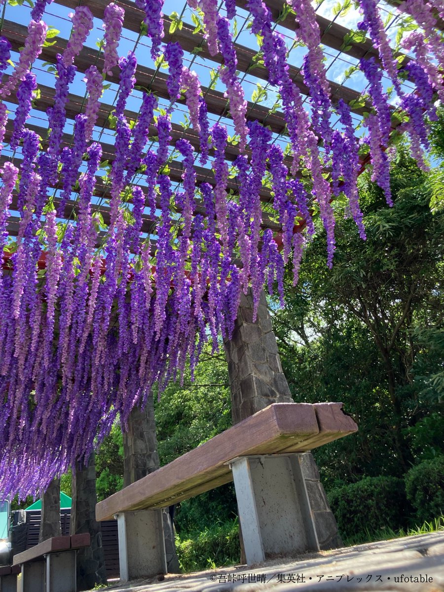 니지겐노모리 × 애니메이션 "귀멸의 칼날"​
✿ 인생샷 명소 안내 ✿​
혈귀가 싫어하는 등꽃이 가득 피어 있는 환상적인 공간…​
햇살이 스며드는 등나무 아래서 찰칵!​

어트랙션 접수는 E주차장이 가장 가깝습니다.​
​
자세한 내용:​
nijigennomori.com/ko/kimetsu_awa…​

#니지겐노모리 #귀멸의칼날 #아와지섬