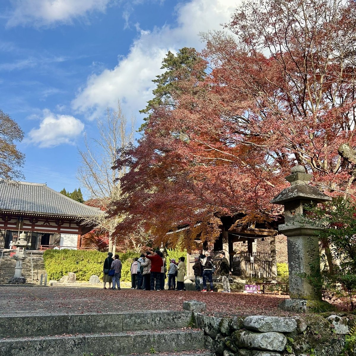 kyuanji's tweet photo. 【散りもみじ】

久安寺です。
散り紅葉。各団体様ありがとうございます。
なんとも可笑しな忘れ物。

日陰、まだ緑の葉もあるものですね。

#久安寺
#池田市 
#kyuanji
#ikedacity
#紅葉スポット
#もみじ寺 https://t.co/ZNp2dox94d