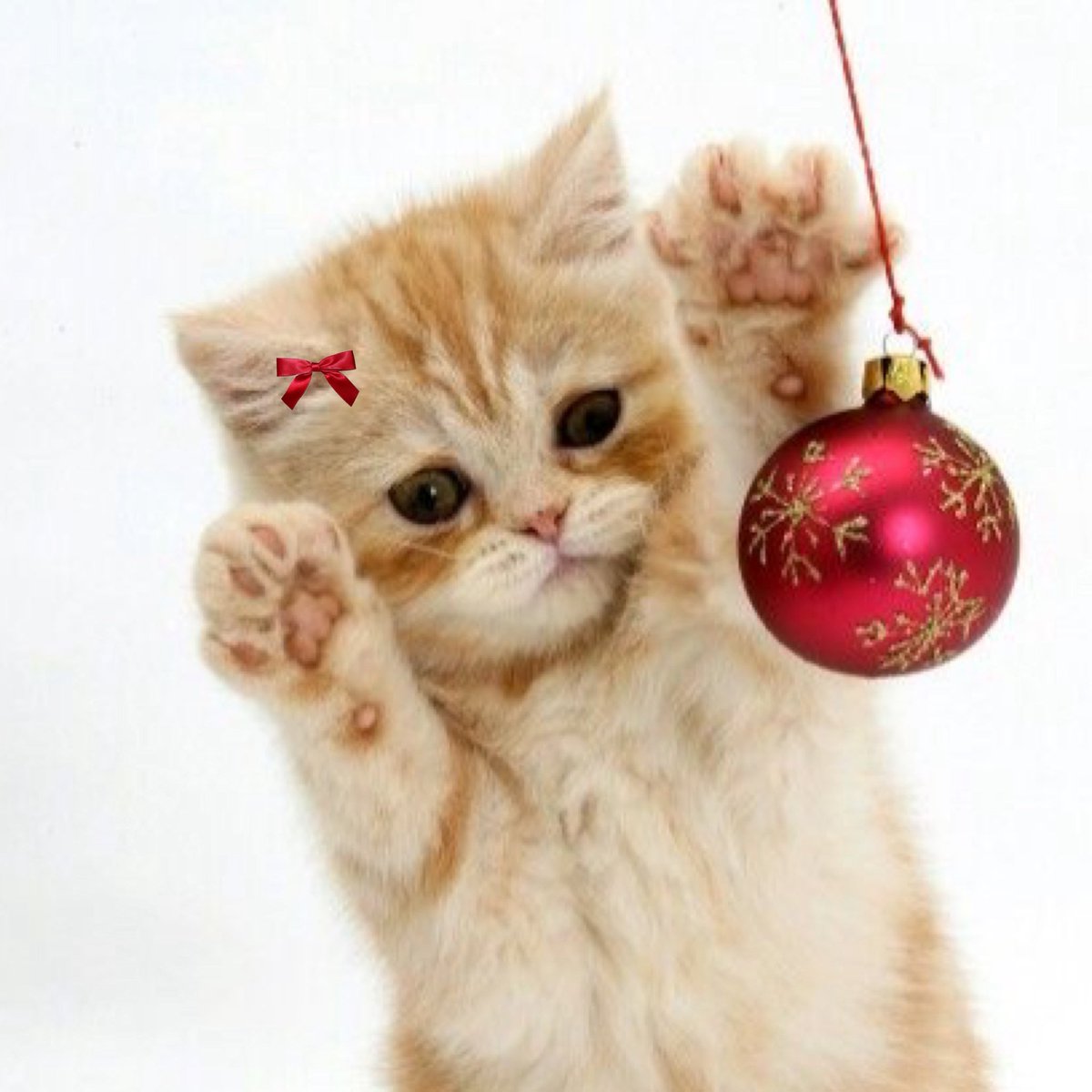 gie (@tnyjw) on Twitter photo 