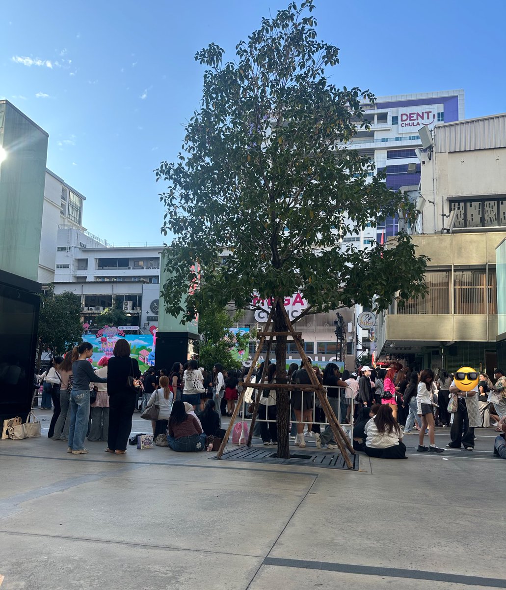 อัพเดทสถานการณ์หน้างานค่ะ  #DMDWarmthOfLove