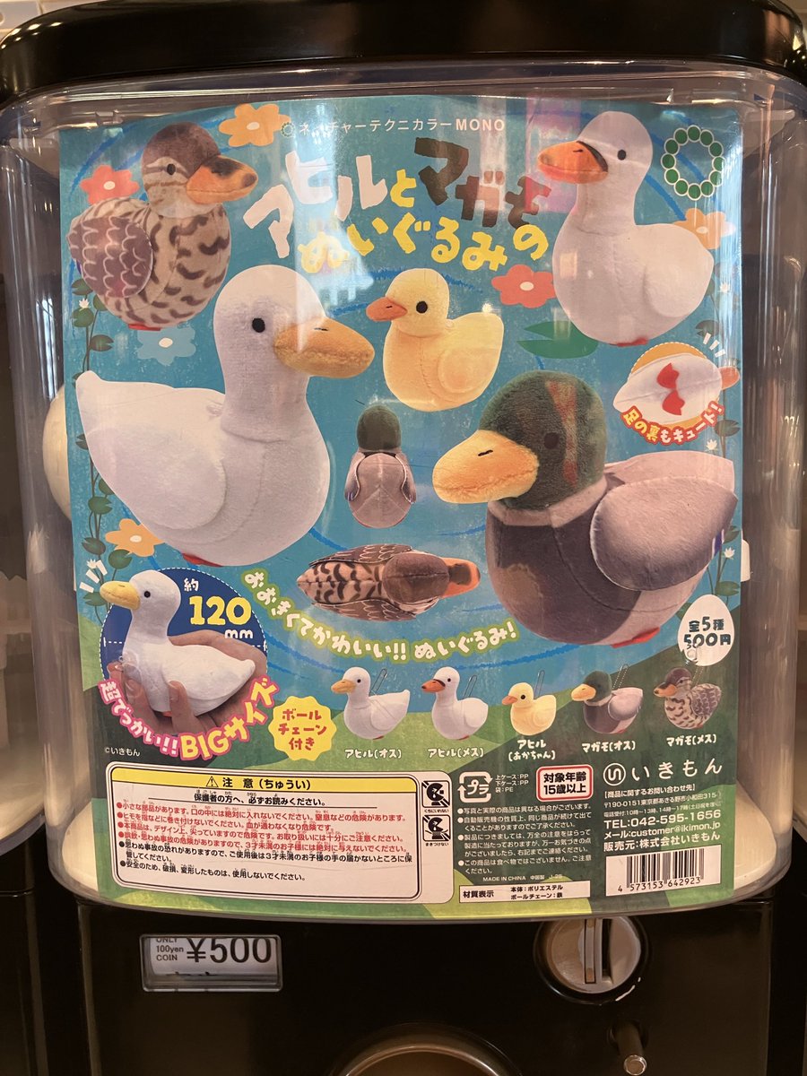 入荷情報／ ケンエレスタンド グランスタ八重北店 ・もちもちアヒル