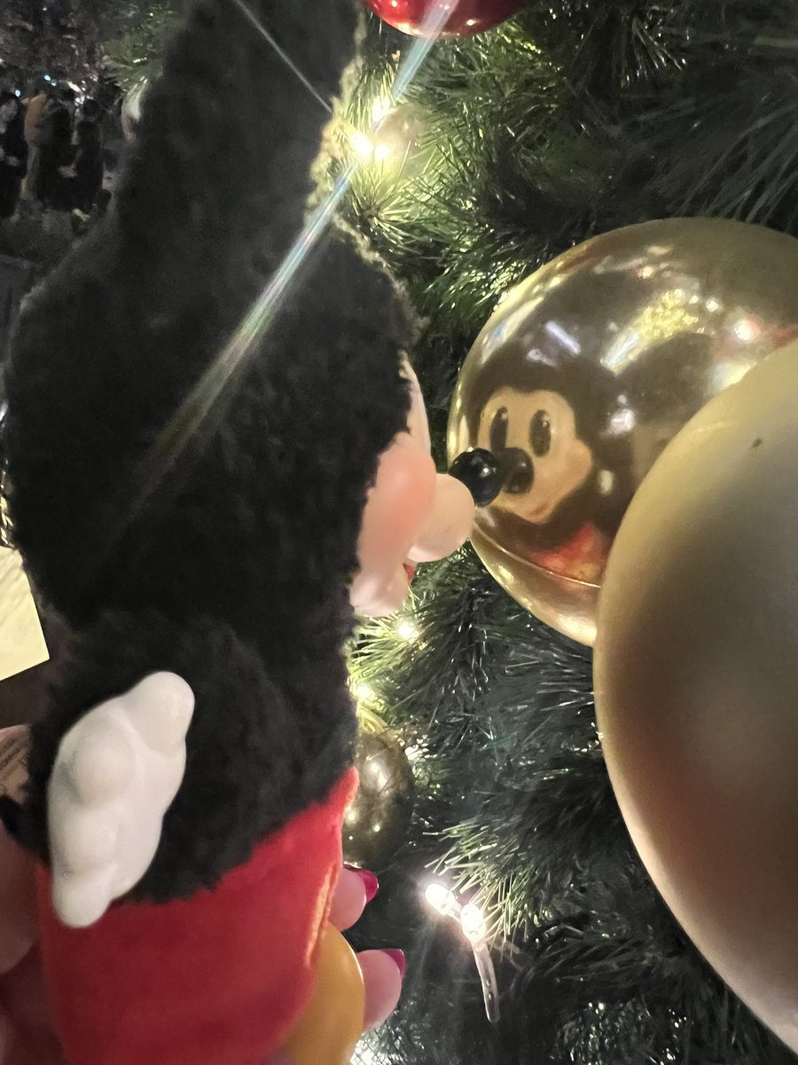 Zanbimae_FE's tweet photo. 最近よく一緒に出かけてる。
及川・ミッチー・マウスくん。 https://t.co/sXm0eK0BU5