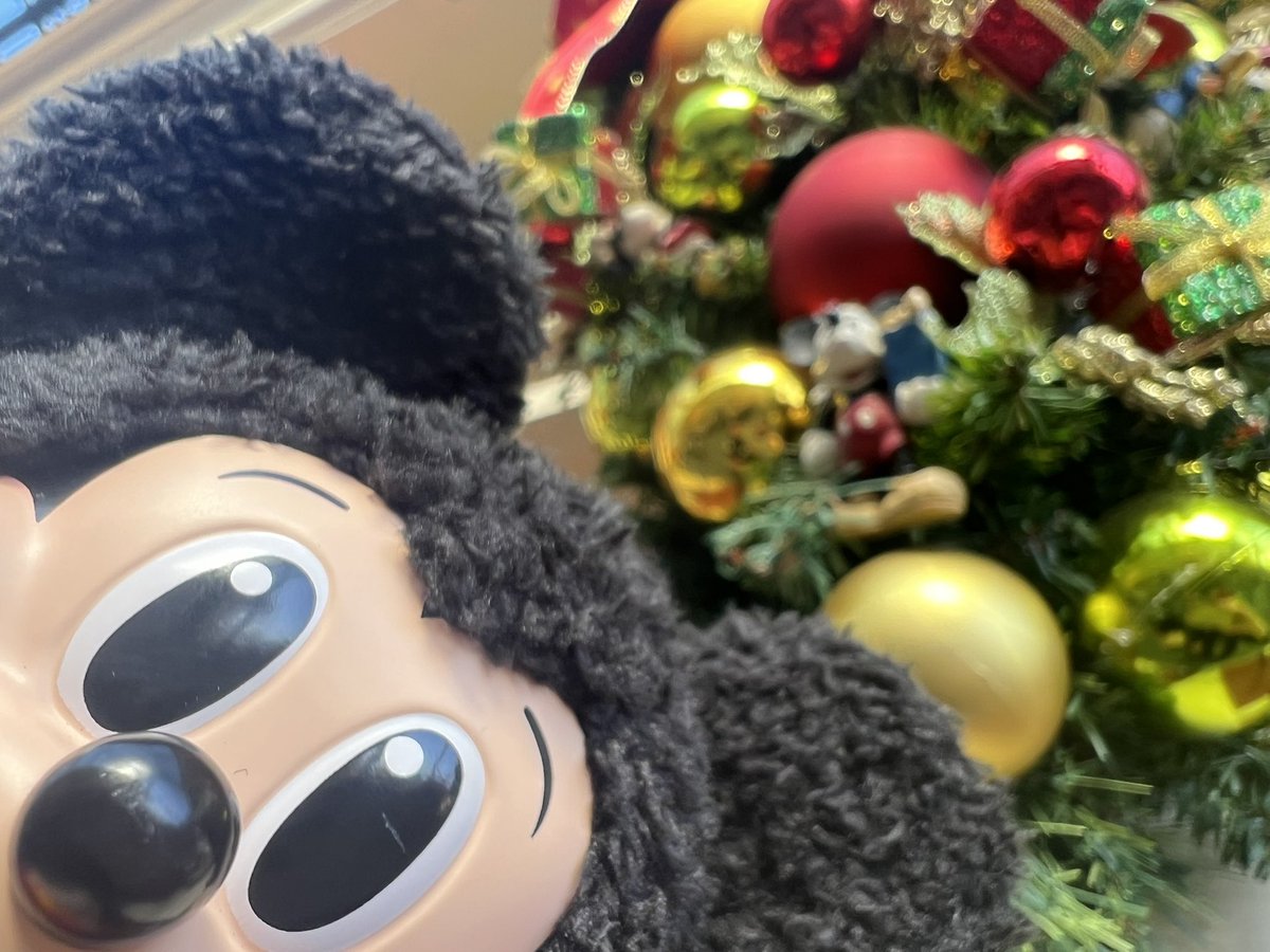 Zanbimae_FE's tweet photo. 最近よく一緒に出かけてる。
及川・ミッチー・マウスくん。 https://t.co/sXm0eK0BU5