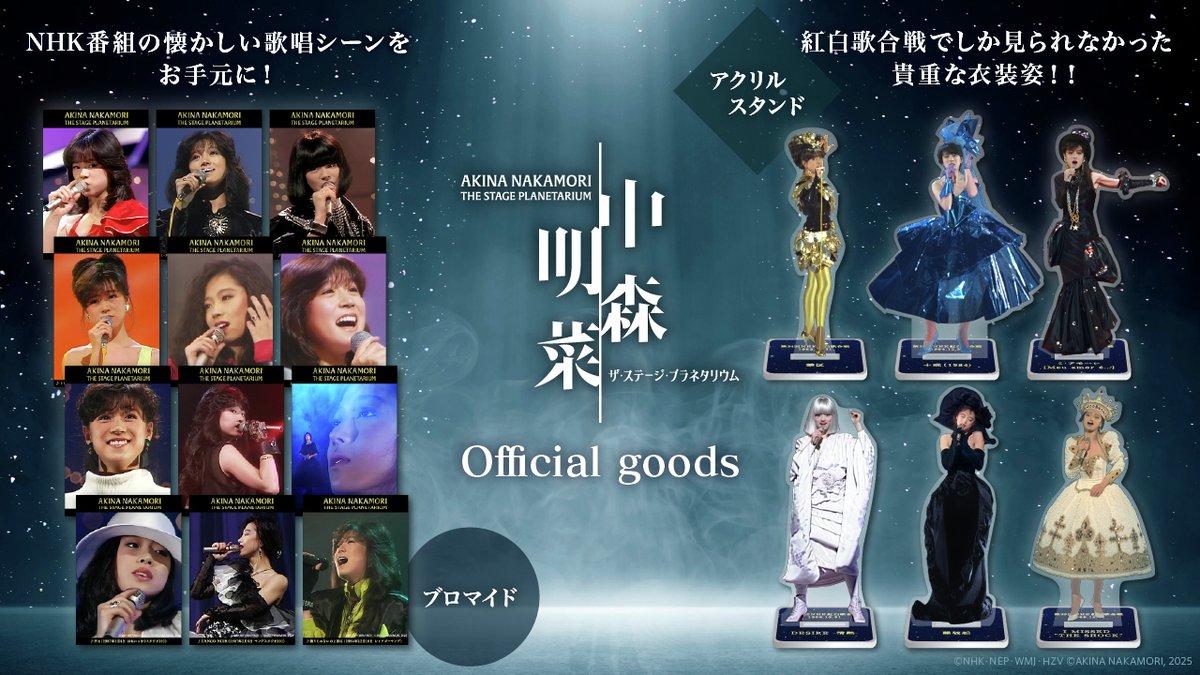 中森明菜 ザ・ステージ・プラネタリウム』オフィシャルグッズ🎤 受注