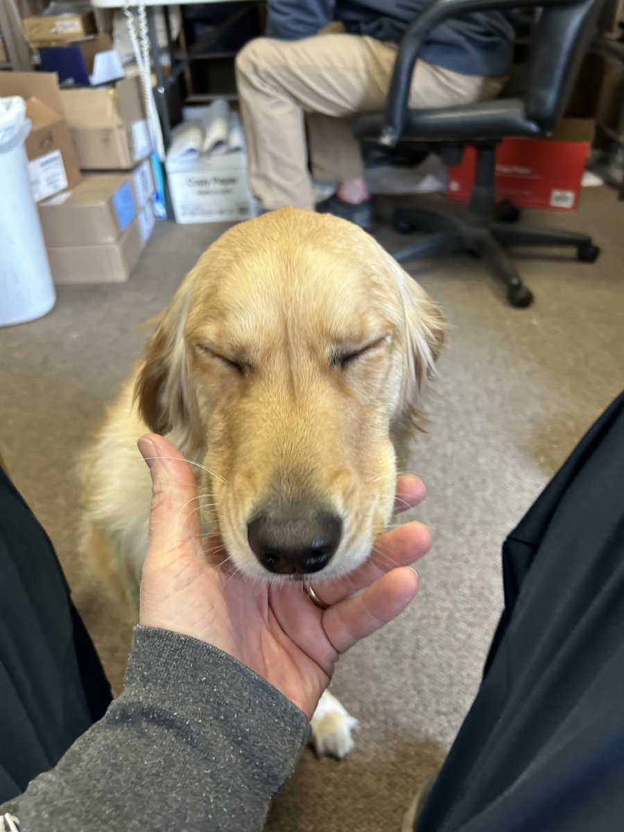 Bump Armor tweet media