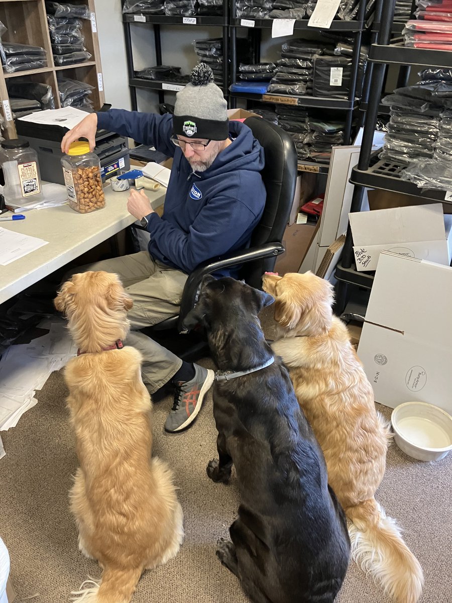 Bump Armor tweet media