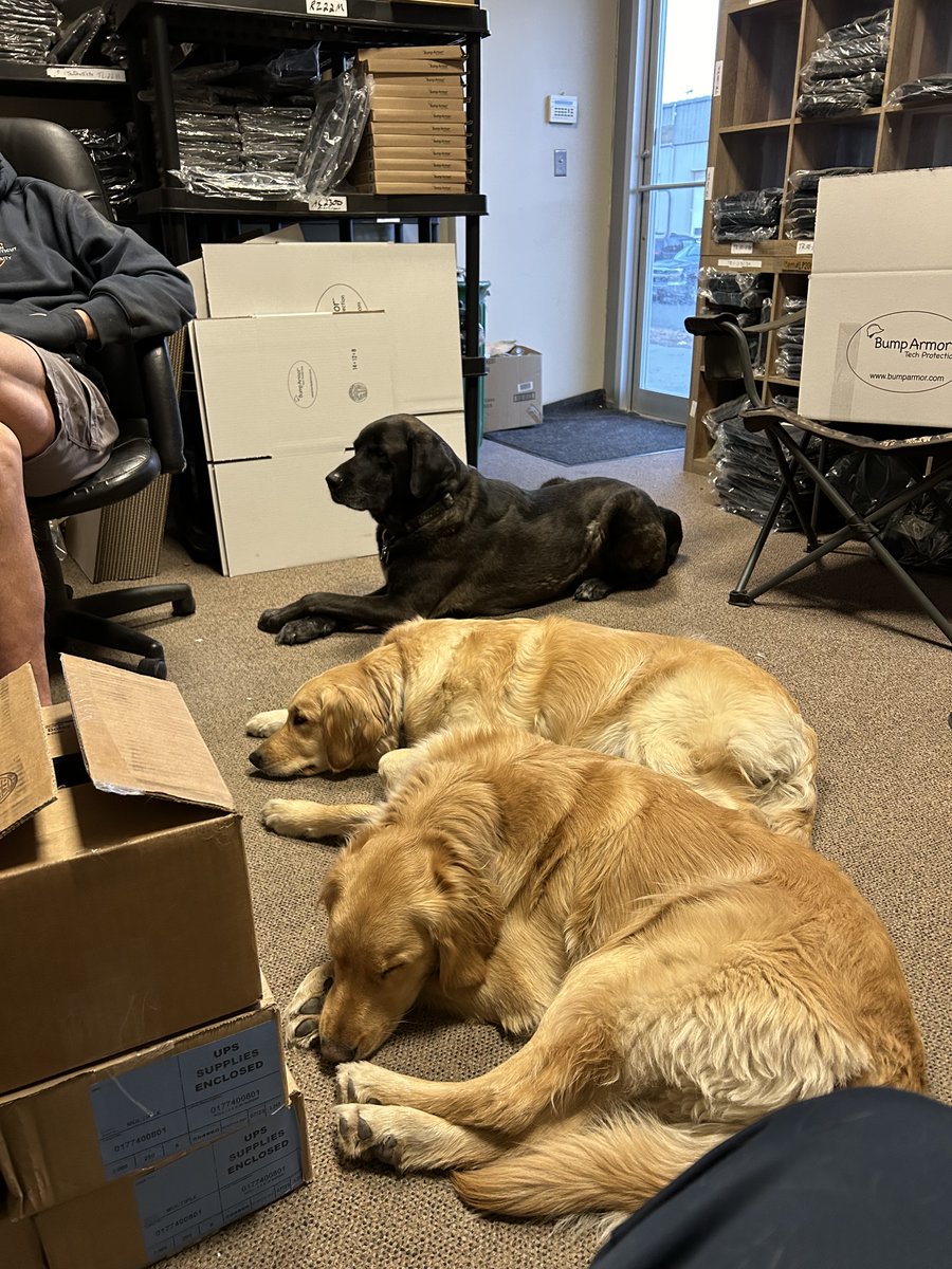 Bump Armor tweet media