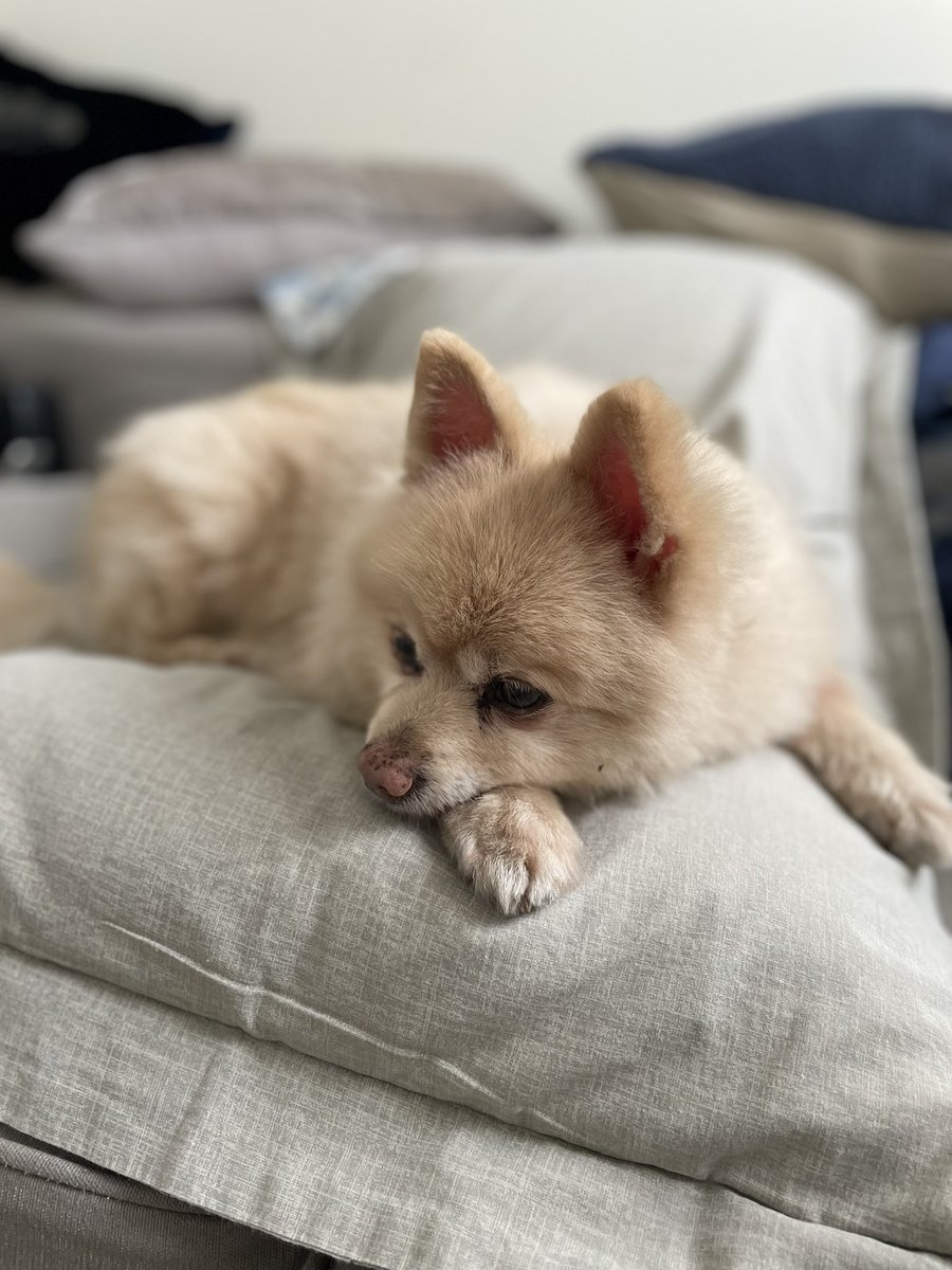 Caye ❆ tweet media