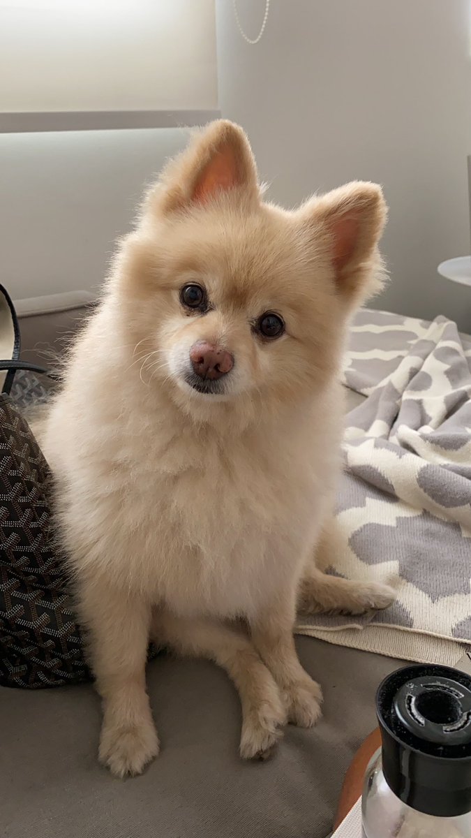 Caye ❆ tweet media