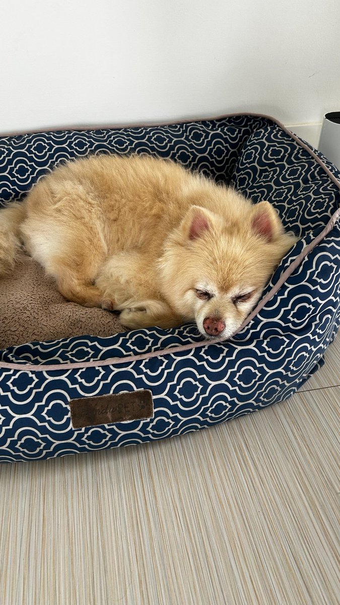 Caye ❆ tweet media