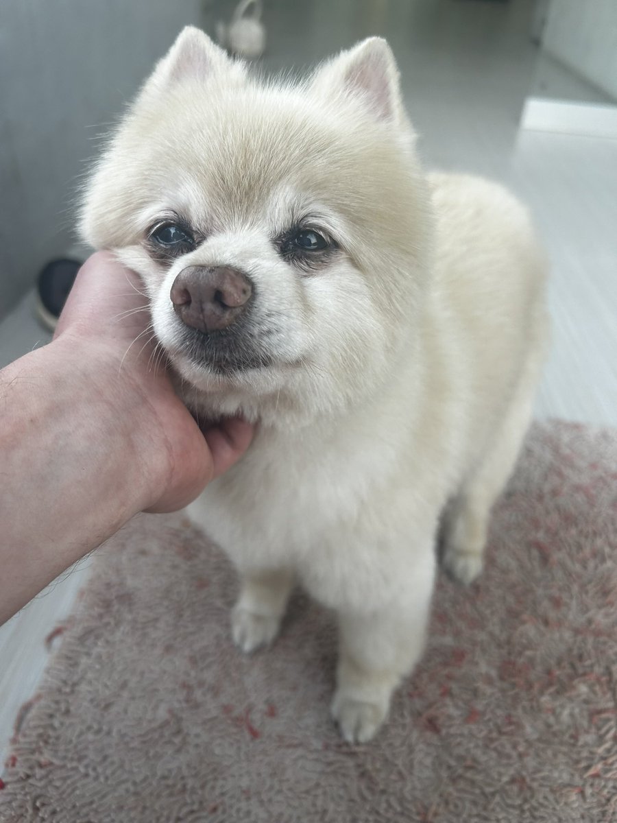 Caye ❆ tweet media