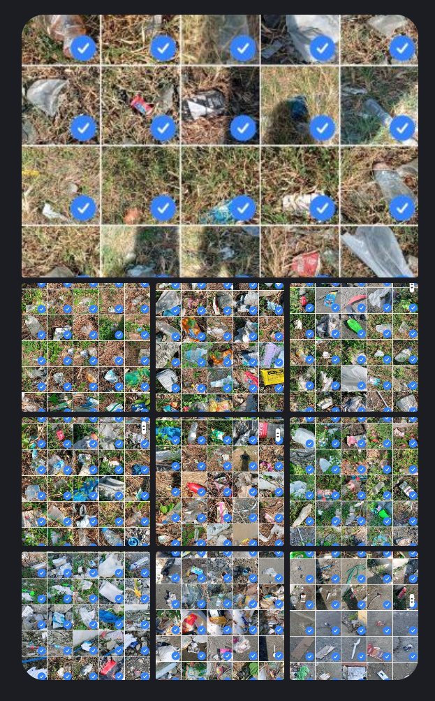 Litter Token ($LTK) 🌱 tweet media