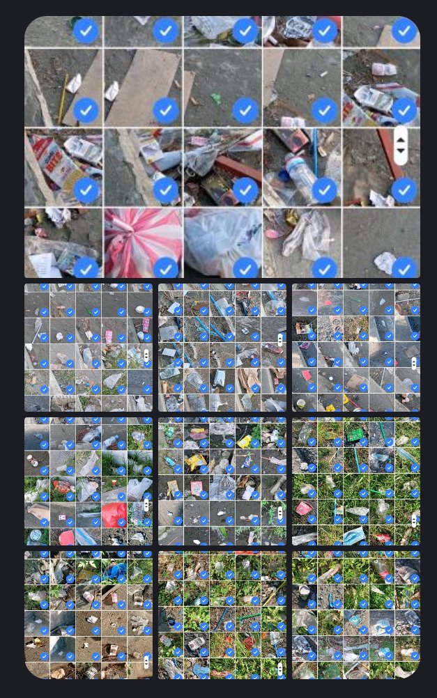 Litter Token ($LTK) 🌱 tweet media