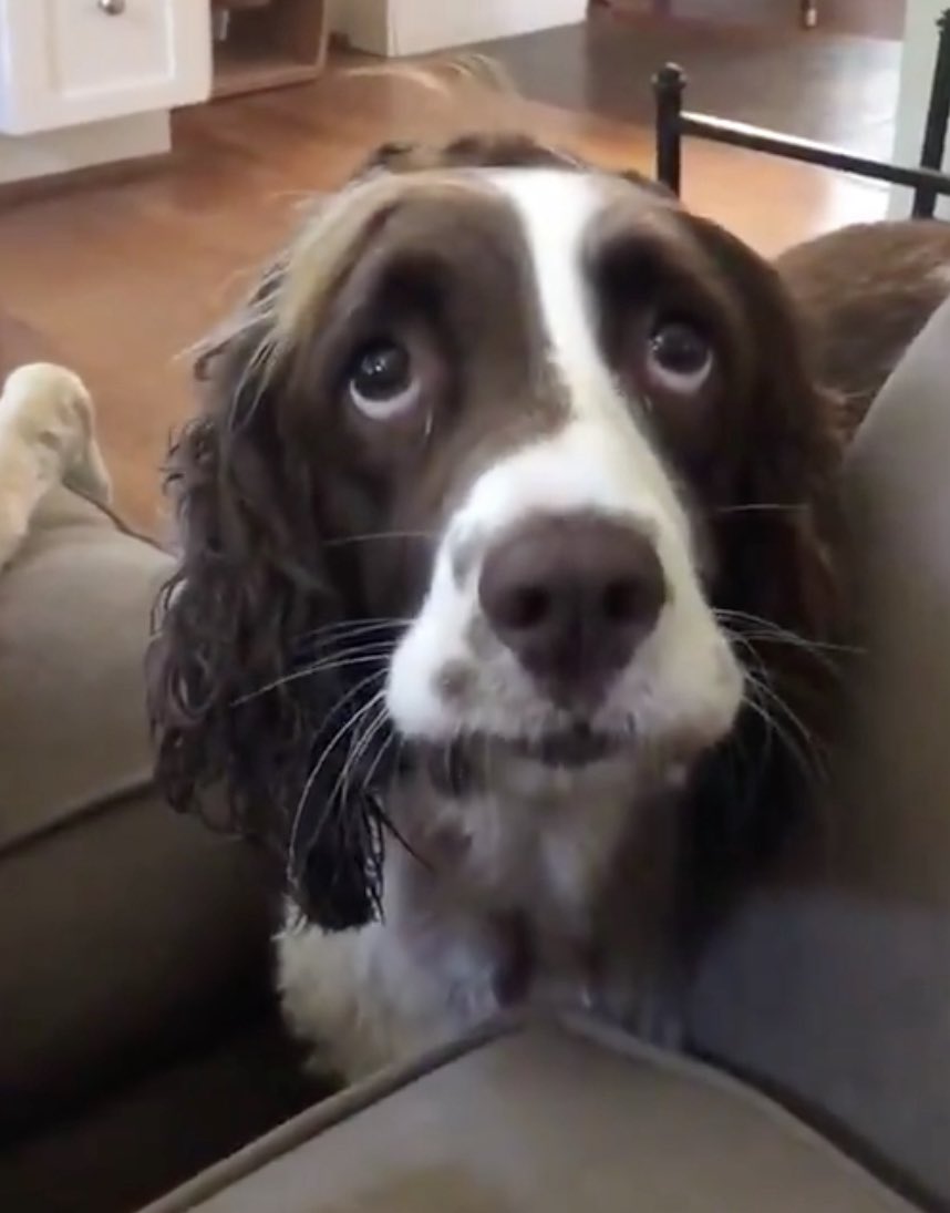 Jonah Goldberg tweet media