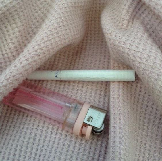kit tweet media
