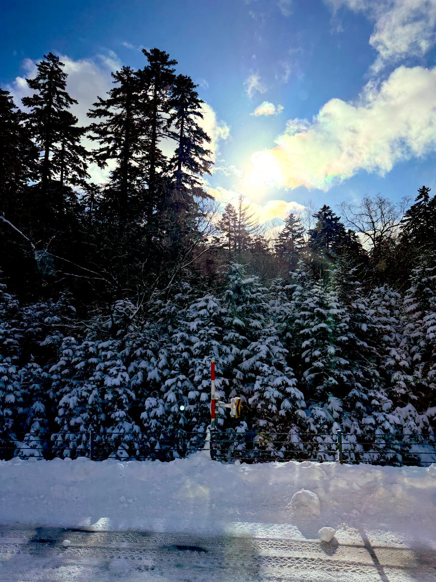 beneko_chan's tweet photo. 北海道旅行3日目
昨日は野生のタンチョウ鶴を見れた
昨晩で10cm以上の積雪⛄️
北海道の形をしたペンケトーと虹🌈

#北海道
#阿寒湖
#雪景色
#虹
#鶴
#タンチョウ https://t.co/YBpyuJTtcU