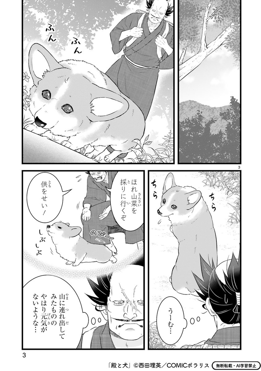 【12/4更新】
✨コミックス第⑤巻 好評発売中!✨

『殿と犬』
その四十六 殿と新たな友
https://t.co/xcvtPWwc9h 

ゴン太とさよならして、しょんぼりモードの犬😔
気晴らしに山へ向かっても、やっぱり元気がないみたい…。
すると草むらから"ガサガサ" え、何かいる…!?

#COMICポラリス 