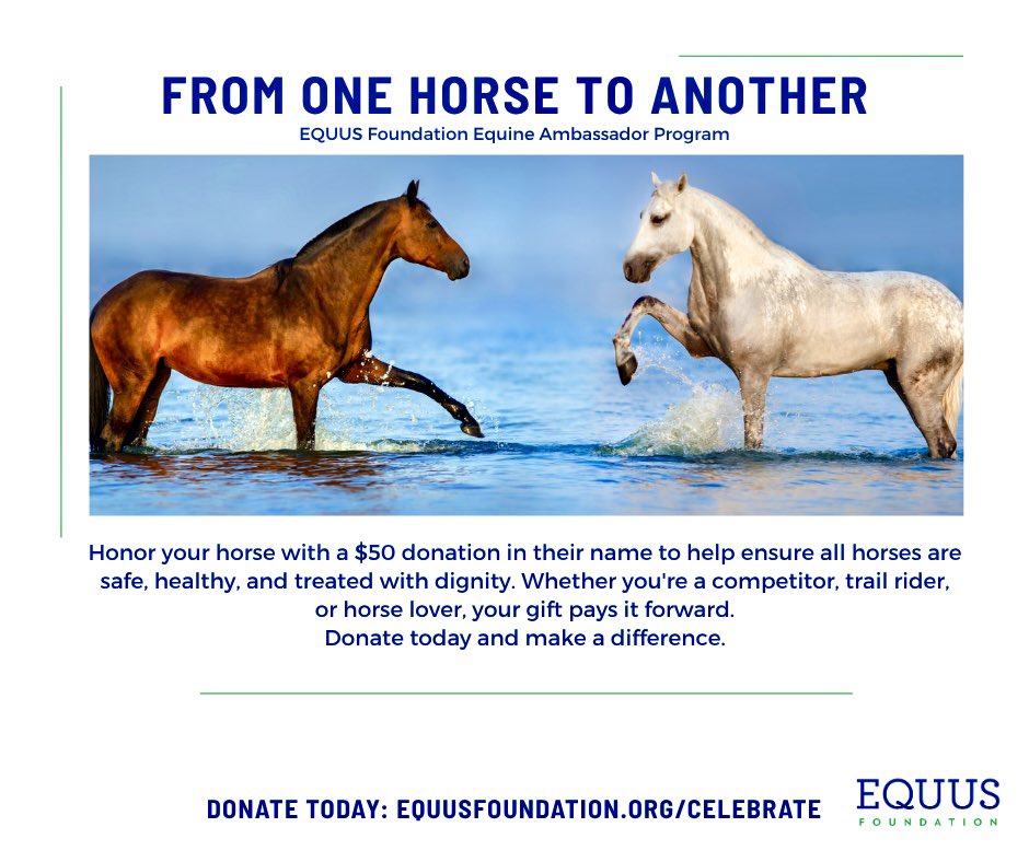 EQUUS Foundation tweet media