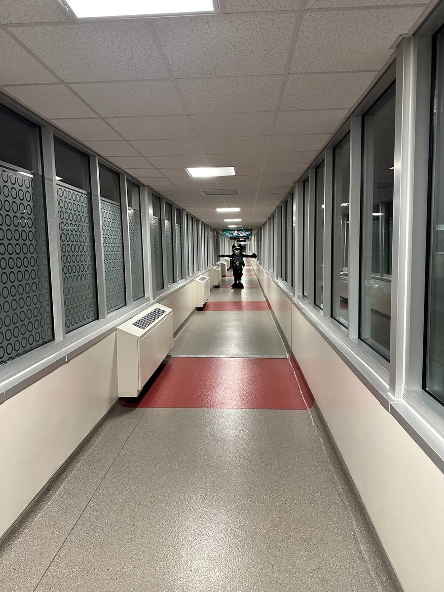 Hi

📸: <a href="/cheddarlils/">Lils/CheddarExuberant 🆖️</a>