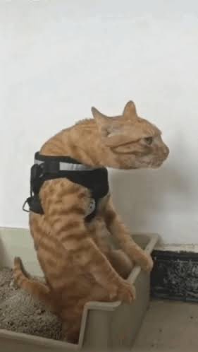 How’s my posture? 😭 #Halo #Cosplay