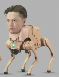 chaus_eth's tweet photo. Elon in 2020 vs 2025😢 @elonmusk https://t.co/JopFjCCjl8
