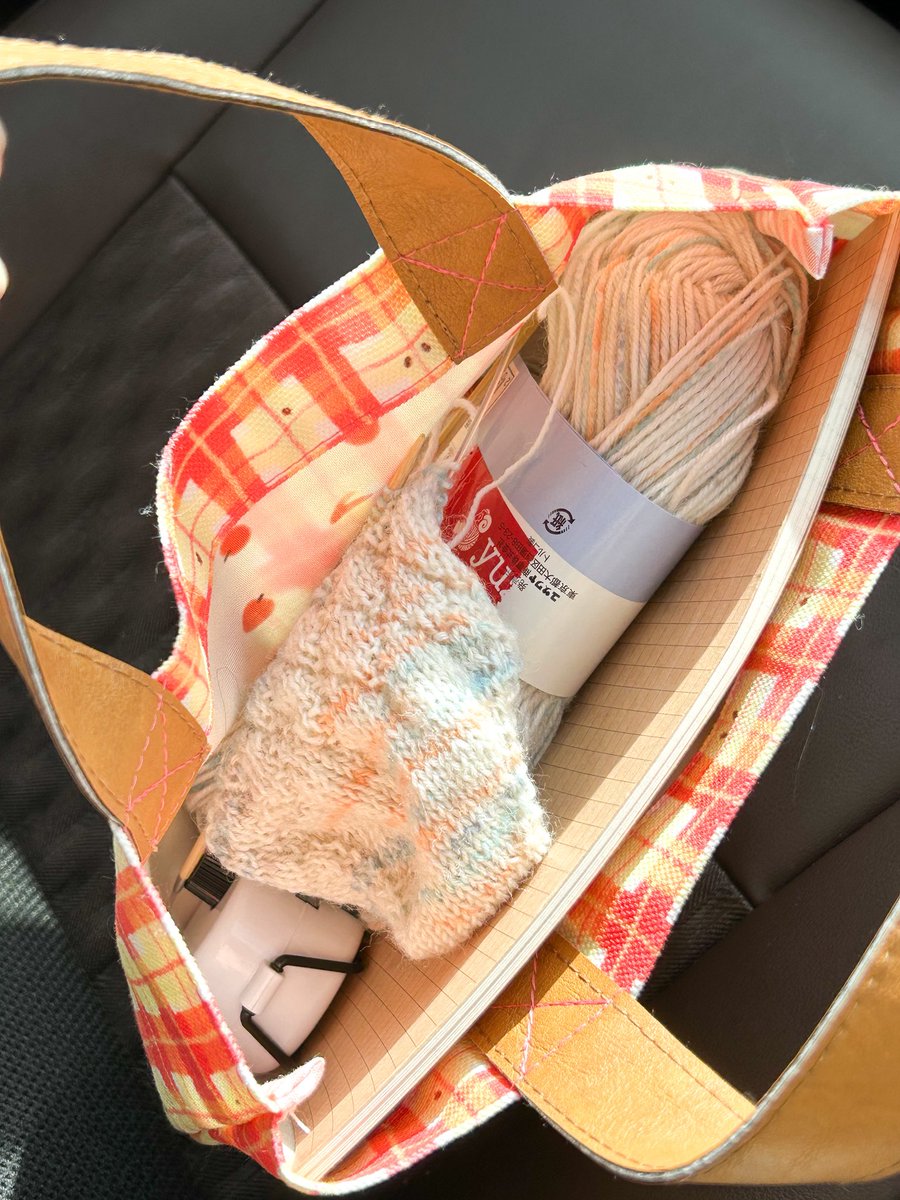 今日は通院日。
車で待たせて貰う間モバ編みしようと思って、新作のミニトートに編みかけの靴下、カウンター、シャーペン、編み物ノート詰めて持ってきた。
靴下編みが楽しくてやめられない🤤