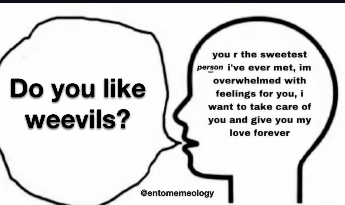 Happy weevil Wednesday yall!