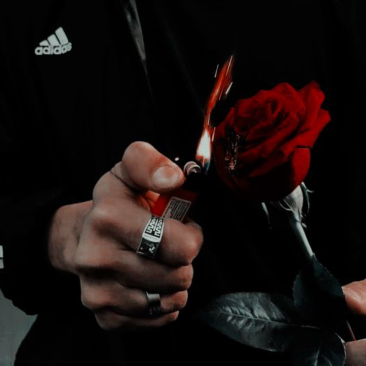 Köl Selvik tweet media