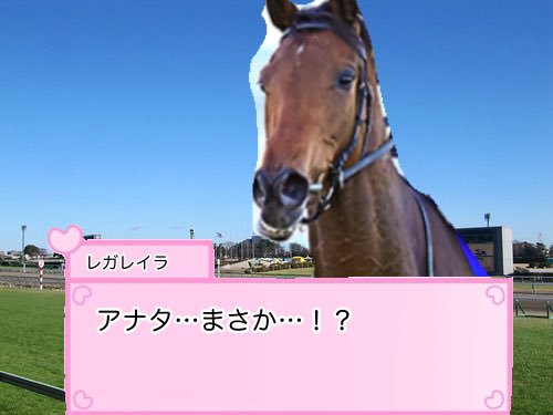 nokurixshii's tweet photo. ダノンデサイルを選択した√のレガレイラです https://t.co/bFh5CP7DDZ