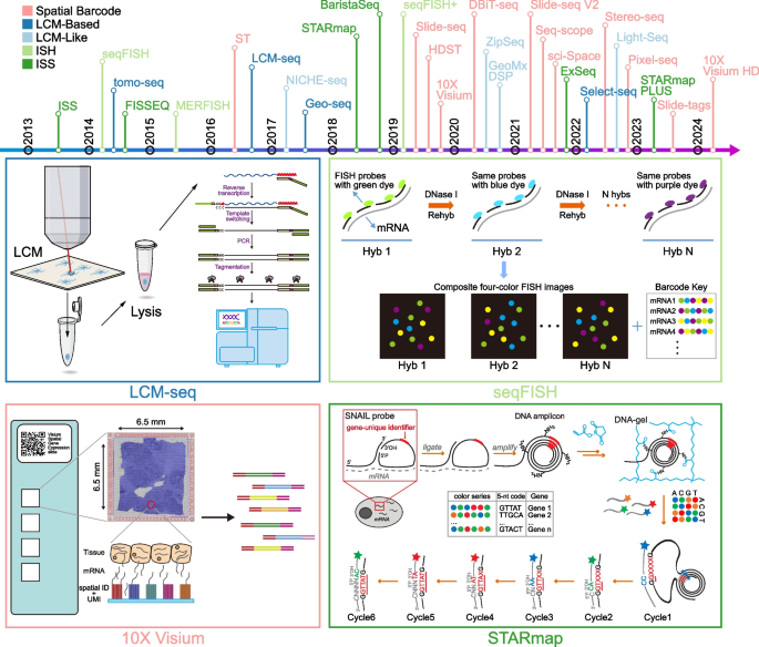 clincancerbull's tweet image. This review presents spatial transcriptomics as a key tool in cancer research, preserving tissue-level RNA localization to reveal tumor heterogeneity and microenvironment interactions.
doi.org/10.1007/s44272…
#SpatialTranscriptomics