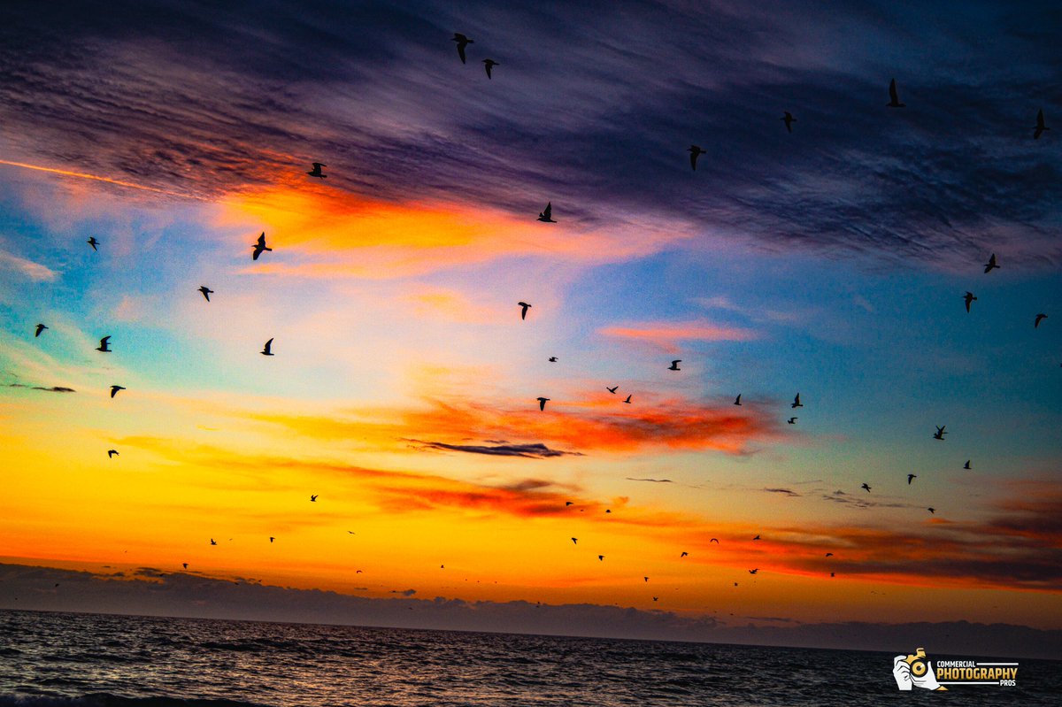 Wings Over Ember  Wrightsville  Beach N..C
#goldenhour #sunrise #oceans #water #photographicart #PhotographyIsArt #photos #photooftheday