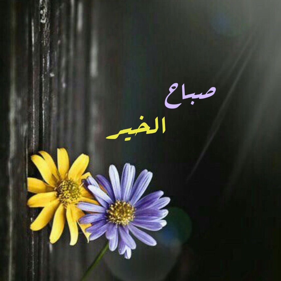 .
.
الصباح لوحة أمل جديدة تُرسم مع كل إشراقة شمس، فاملأها بألوان الرضا والتفاؤل.
#صباح_الخير
#صباح_الخير_والسعادة 
#الخميس_الونيسᅠ
