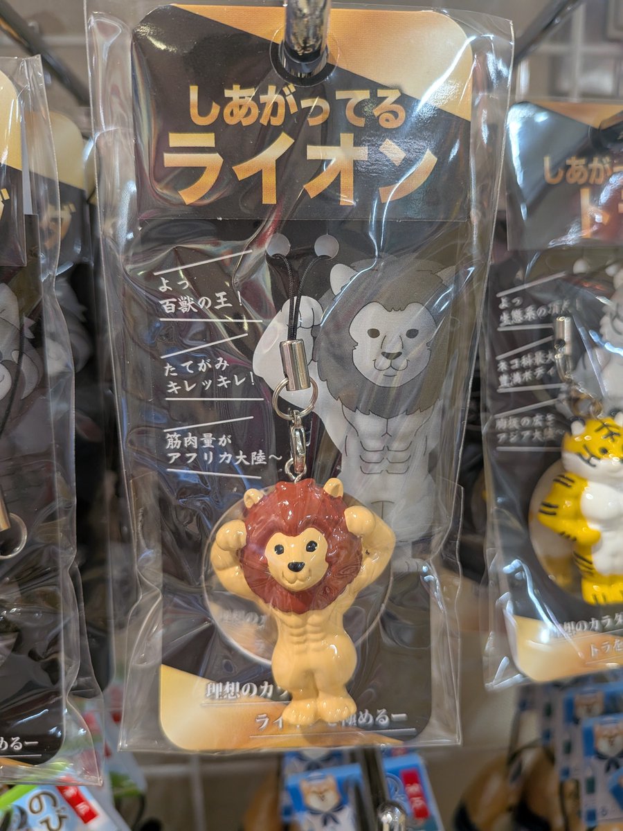 坂元健児 (@kenji_koyata) / Posts / X